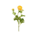 YELLOW RANUNCULUS